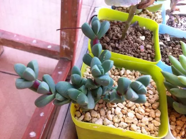 阴历三月打围墙吉日有哪些 农历三月二十适合动土吗